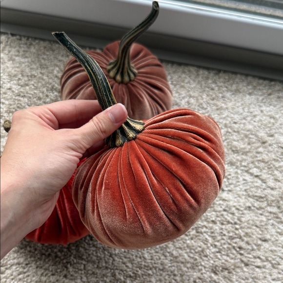 Velvet Pumpkin Decor Set - Picture 5 of 6